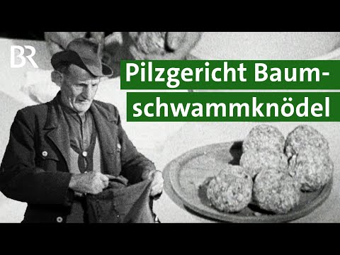 Kreative Rezepte: Buchenschwammknödel - Arme-Leute-Essen aus dem Bayerischen Wald | Unser Land | BR