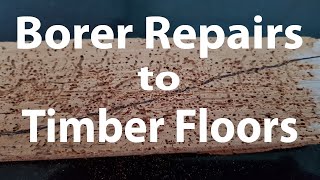 Borer damage repairs to Timber Floors Brisbane