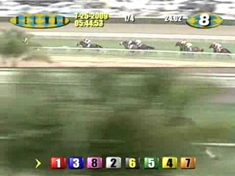 2009 Eddie Read Stakes