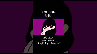 - #TOOBOE New Album「Stupid dog」2024.1.24 Release!!