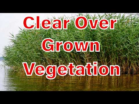 Clear any pond vegetation Get your shoreline back