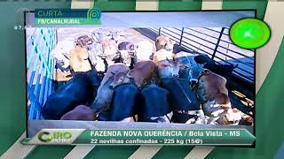 Miniatura do vídeo