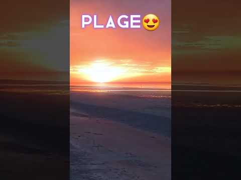 Une belle journée à la plage #shorts #subscribe #plage