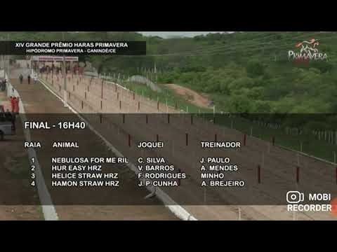 Páreo final xıv GP Haras Primavera