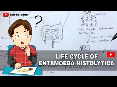 Inter 2nd year SYNAPTIC TRANSMISSION ZOOLOGY