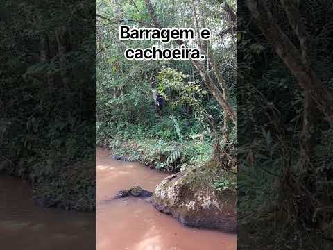 Ivaiporã- Pr ( antiga Usina Velha.)