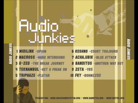 audio junkies 01 midilink opim 128kbps