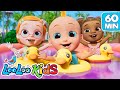 60 Minutes Of LooLoo Kids Hits S2EP59 Musical Adventure Collection LooLoo Kids Songs