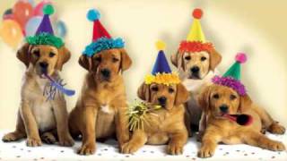 Cute Dogs Bark the  Happy Birthday  Song