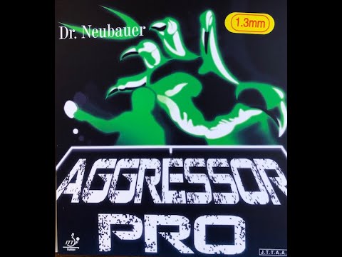 Dr. Neubauer Aggressor Pro 1.3 - Can It Be Controlled?