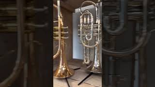 Kijk Nou de Cornetten op een rij! - YET Music &amp; Sound #cornet #instruments #musicshop #YETMusic