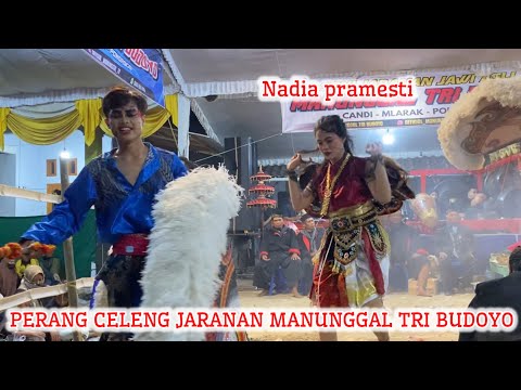 PERANG CELENG NADIA PRAMESTI KABRUK KEPANG HINGGA KESURUPAN