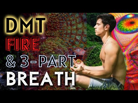 [BEST YET!] DMT 🚀, Fire 🔥 & 3-Part Breath 💨 (3 Guided Rounds)