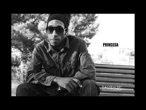 NICHE FLOW - PRINCESA