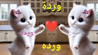 وردة ورده امورة الجيل اغنية بأسم وردة اغنيه ورده ورده على نغمة قنبلة الجيل وردة وردة وردة ورده