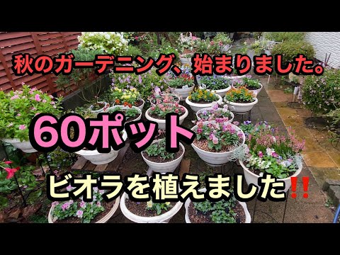 バンダについて詳しく解説