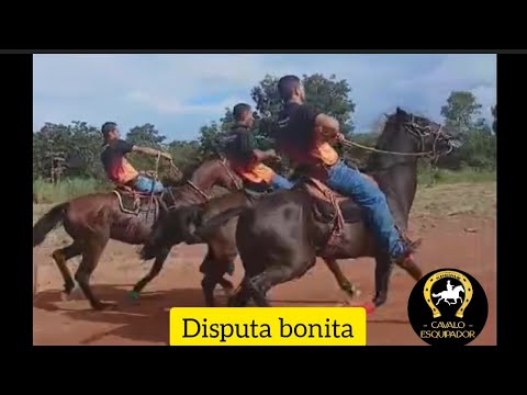 Torneio de esquipado de Arinos MG 21/02/2025 melhores momentos 