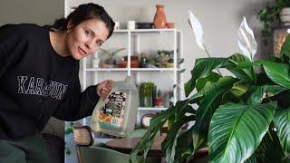 Daily Life | Plant care, houseplant shopping with mom, & I got an eye injury from dirt