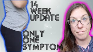 14 WEEK PREGNANCY UPDATE - MY ONLY SYMPTOM - CURE FOR TENSION HEADACHE? (PRODUCT REVIEW)