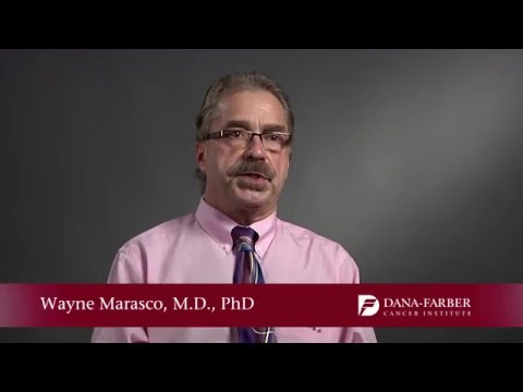 Wayne Marasco, MD, PhD | Dana-Farber Cancer Institute