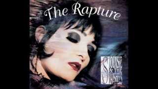 Siouxsie &amp; The Banshees FGM [ Unreleased Demo ]