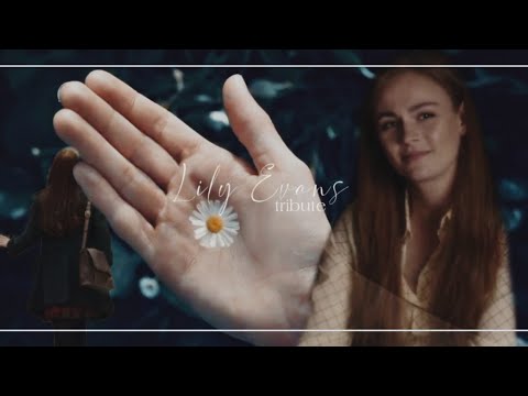 Lily Evans tribute | marauders era