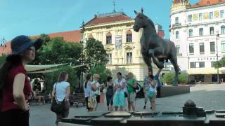preview picture of video 'Pécs Széchenyi tér. Leonardo: Sforza-ló. 2014.08.12. Készítette: Szőke J. Pécs.'
