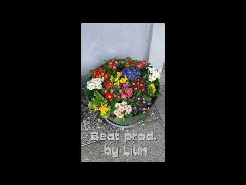 78. Liun Instrumental / Zoli Beatz 100 BPM - Song to God (Instrumental)