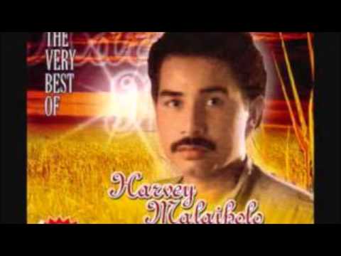 Mikha Tambayong feat Harvey Malaiholo - Satu Yang Pasti