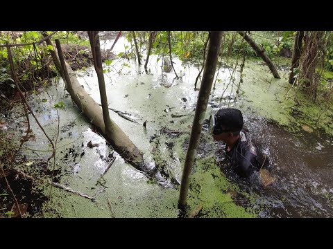 SE02EP116 Part 2 - Ang MADULAS na PALOS ng AMAZON RIVER de SAN PABLO