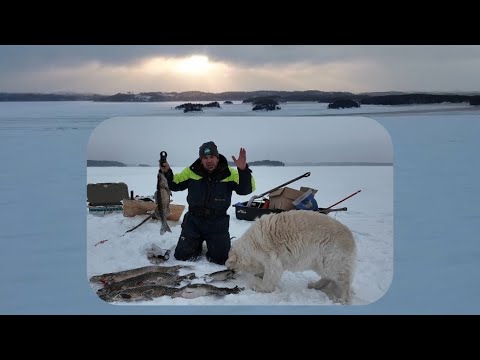 Ruokakalat matkaan. Talviverkoilla 16.1.2026