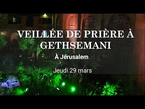 Veillée de prière dans les jardins de Gethsemani