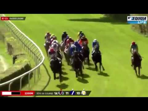 Preis Der Diana G 1 2017  Lacazar