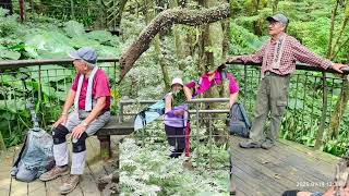 20250919頂北投- 陽峰古道- 猴崁古道- 竹子湖- 楓林平台-中正山登山口-頂湖
