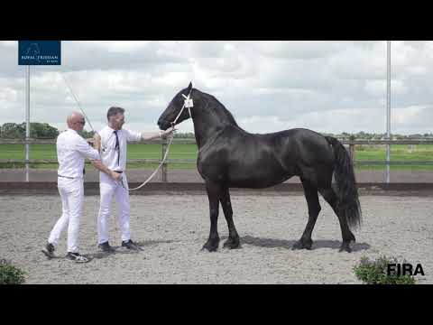 Locatiekeuring Stal Sibma 21-7-2020