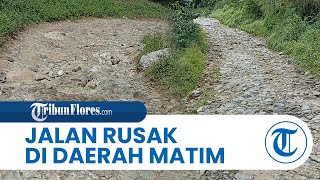 Jalan Watu Cie-Deno Manggarai Timur Makin Rusak Parah, Pengendara yang Melintas Harus Hati-hati