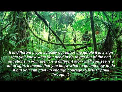 download lagu mp3 mp4 Jungle Dream, download lagu Jungle Dream gratis, unduh video klip Jungle Dream