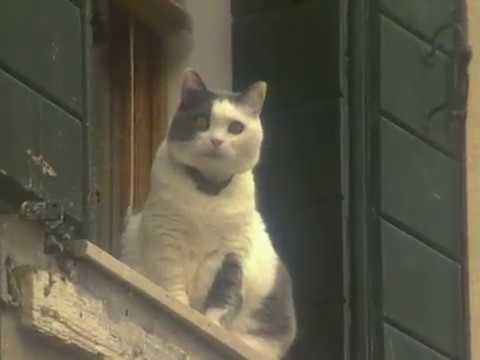 Video thumbnail for Бродский (Brodsky)