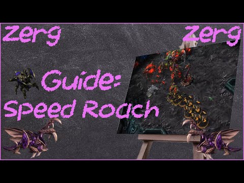 Guide: Speed Roach Build for ZvZ