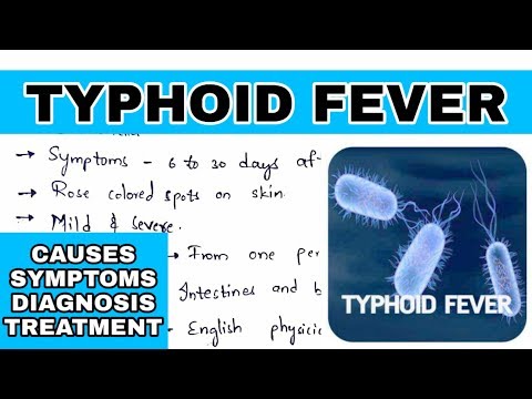 Typhoid fever Salmonella typhi Causes symptoms diagnosis treatment Bio science