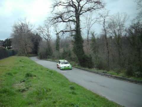 Rally del Carnevale 2014 ps1 (Cecchettini-Ciucci)