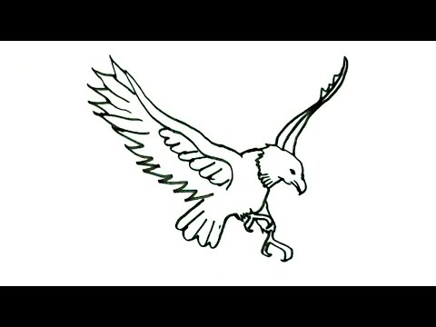 How to draw an Eagle- in easy steps for children ...