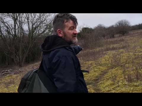 Collecting Yamadori Hawthorn For Bonsai