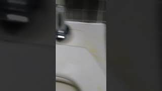 WHO PEED EVERY WHERE?