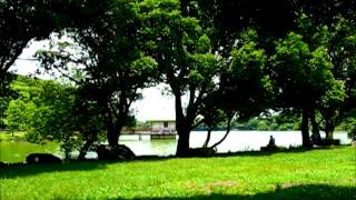 Download lagu インドの歌／N.A.Rimsky-Korsakov, Song of India, played on piano mp3