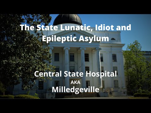 image-Is Georgia State university a big school?
