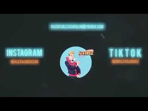 Alex Alvarez - Plictiseala (reverse video)