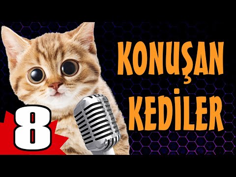 Konuşan Kediler 8 - Komik Kedi Videoları
