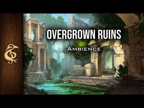 Overgrown Ruins | Mysterious Jungle Ambience | 1 Hour #dnd