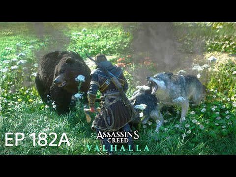 Assassin's Creed : Valhalla - Fly Agaric (Suthsexe) - Episode 182A